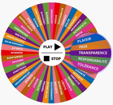 Schéma de la roue des valeurs illustrant la culture d’entreprise et les principes partagés avec Acteo Consulting